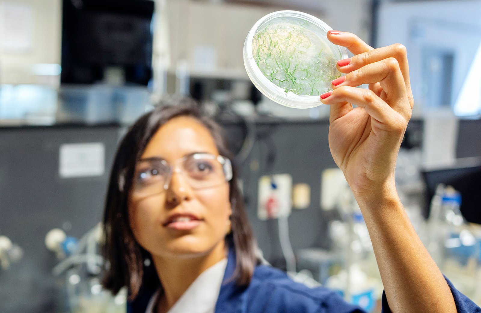 Female research scientist examining samples in petri dishes in a lab