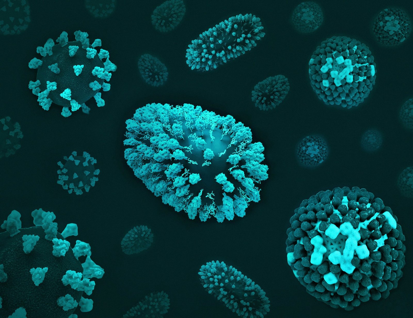 national-institute-of-allergy-and-infectious-diseases-bh57ZKDa07g-unsplash